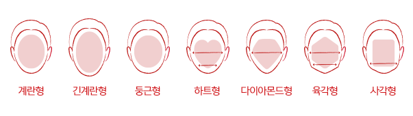 얼굴형 이미지